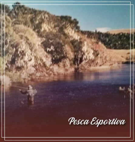 Botão/foto para ir para Pesca Esportiva