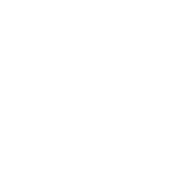 Ico Whats